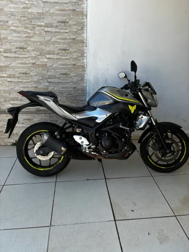 Mt 03 revisada leilão