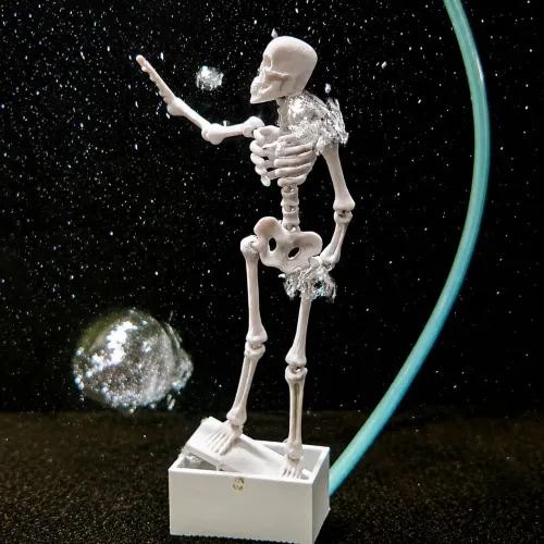 Decoração para Aquario