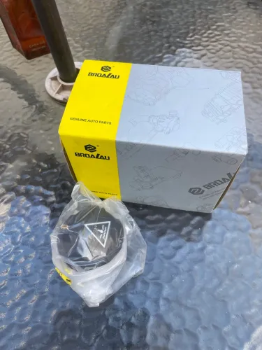 Flange bloco bomba d?água C3 Picasso
