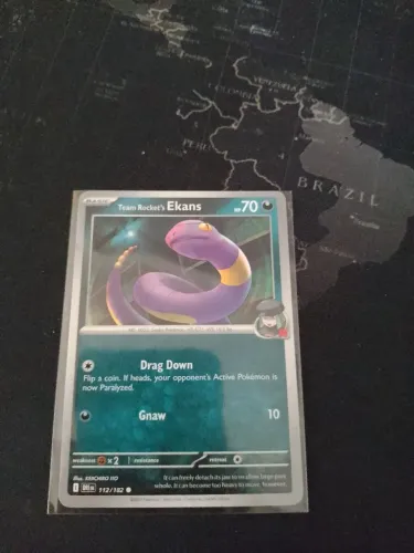 Team Rocket ekans