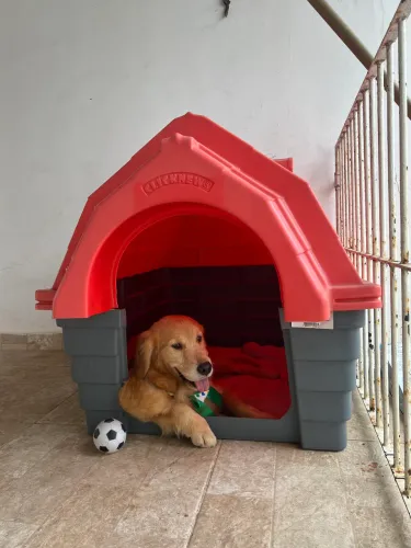 Casa Cachorro Clicknew Chaminé Cinza Com Vermelho - Nº05