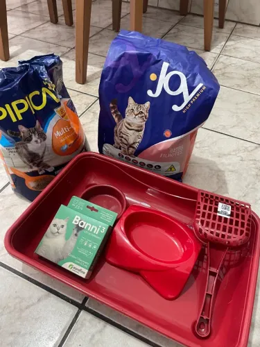 Kit para gatos