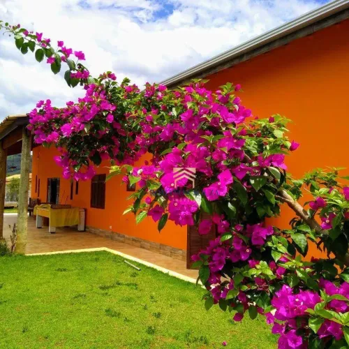 Chácara com 5 dormitórios à venda, 3200 m² por R$ 705.000,00 - Itapeva - Itapeva/MG