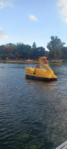 Pedalinho Cisne