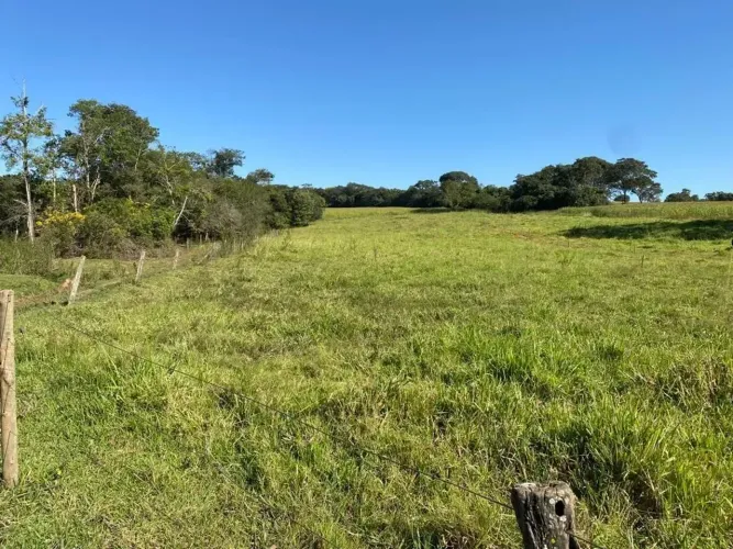 fazenda Bela vista de Goias