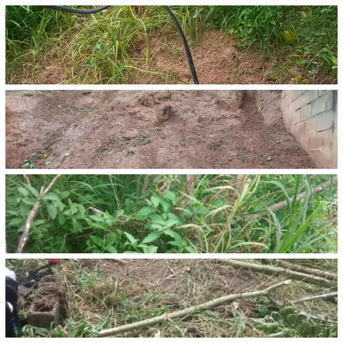 Limpeza de quintal