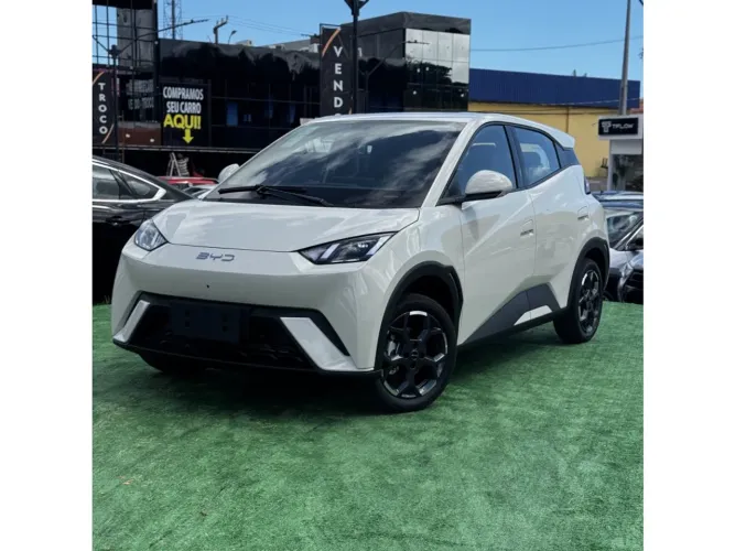 BYD Dolphin Mini (Elétrico) 2027