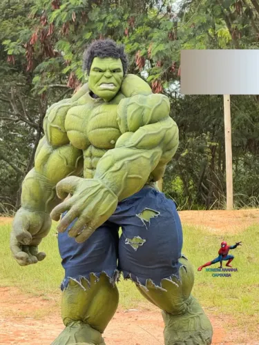 Hulk Personagem Profissional Completo
