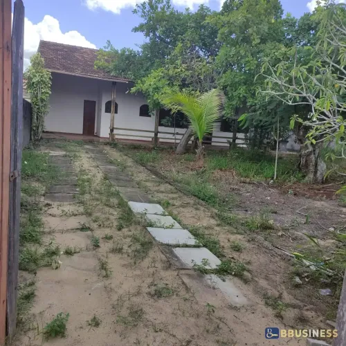 Terreno 600 m² à Venda em Santa Clara com Poço e Casa Antiga - São Francisco de Itabapoana