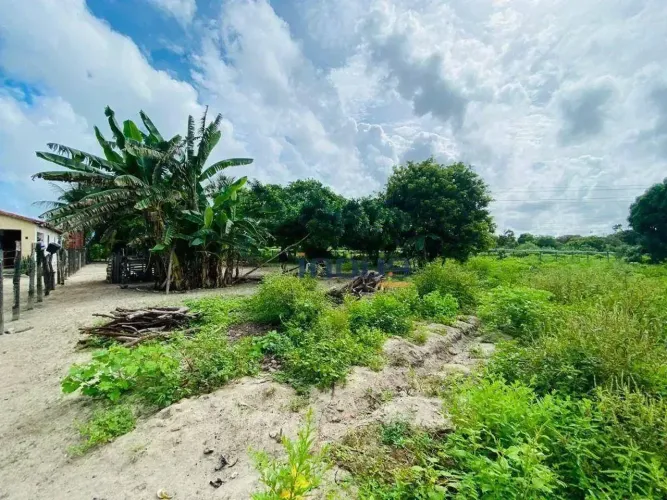 Terreno, 3000 m² - venda por R$ 306.000,00 ou aluguel por R$ 8.000,00/mês - Zona Rural - P