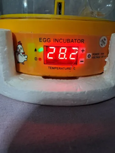 Mini chocadeira eletrica choca 6 ovos g e 6 pequenos