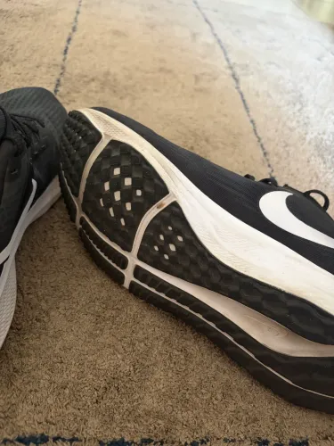 Nike Pegasus 39