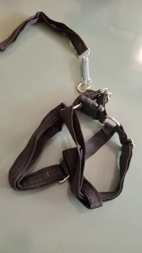 Coleira peitoral para cão de grande porte