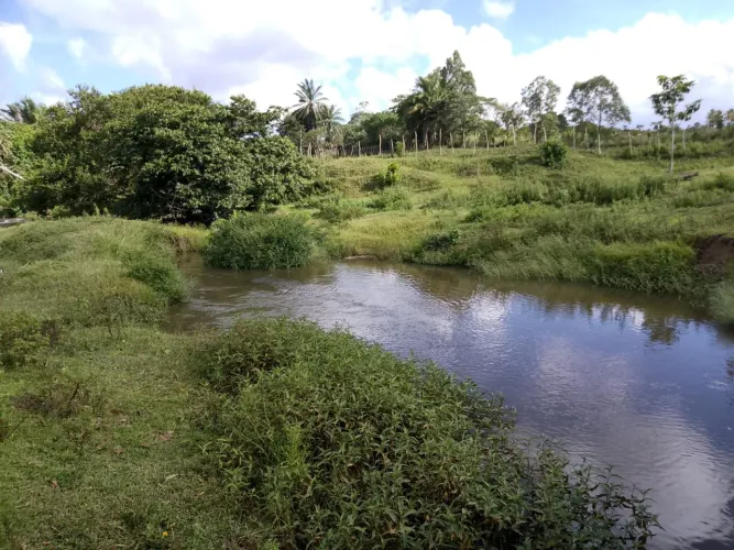 Vendo Terreno localizado em Indiaroba-Se (aberto a negociações)