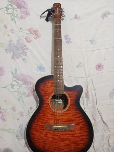 Violão Steinberg elétrico.