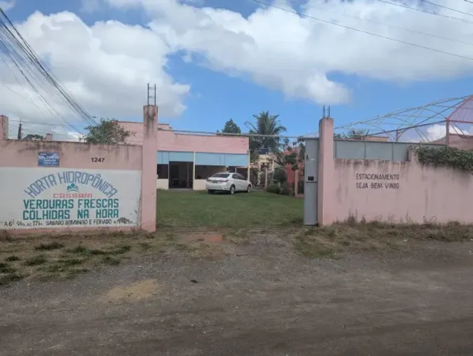 Arrendamento terreno 2000m2 com horta e hidroponica