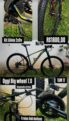 Bicicleta aro 29. OGGI