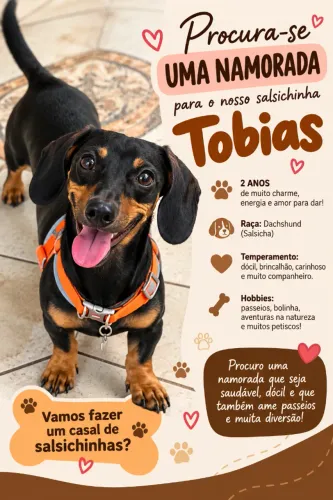 Salsicha Tobias em busca de namorada