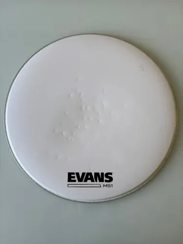 Pele de Bumbo EVANS MS1 20
