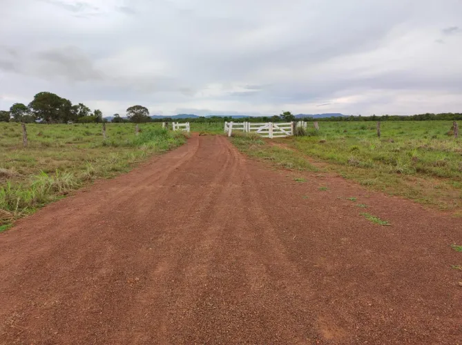 Fazenda com 390 Alqueires à Venda em Silvanópolis TO | Alta Aptidão Agropecuária