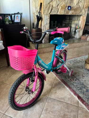 Bicicleta Infantil 