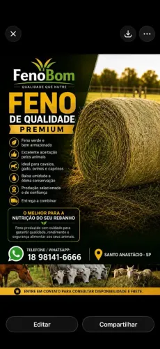 FENO BOM Dictyoneura 