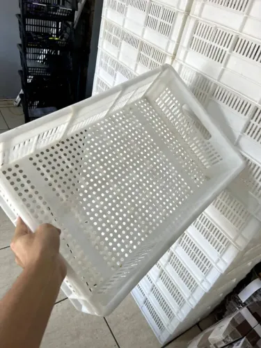 Caixa Vazada 60x40x15cm 28l Atóxica Frigorífica