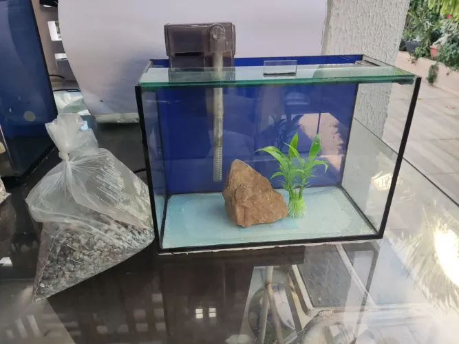 Aquário 5L