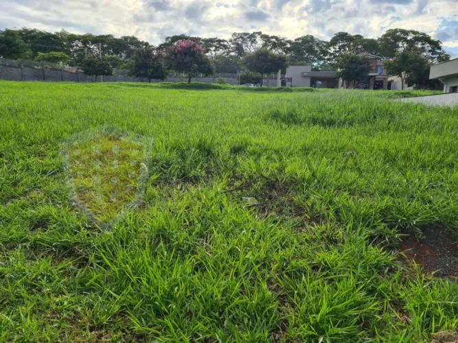 Terreno Padrão em Ribeirão Preto