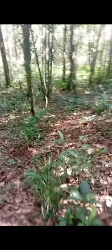 Terreno em juquitiba