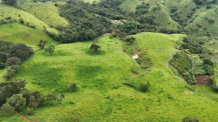 Terreno 6,5 alqueires possui bastante água.