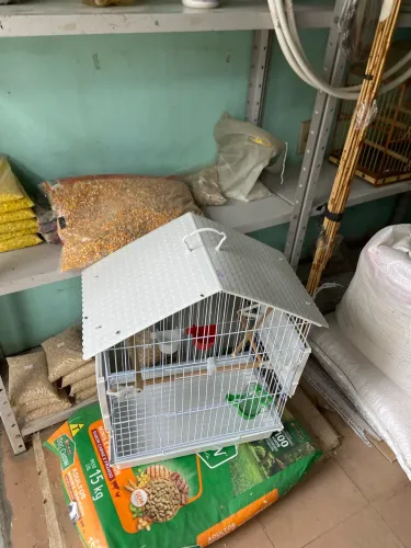 Gaiola Grande para Calopsita e Periquitos