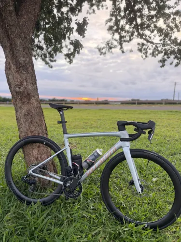 Speed Specialized Tarmac SL8 Pro 2026