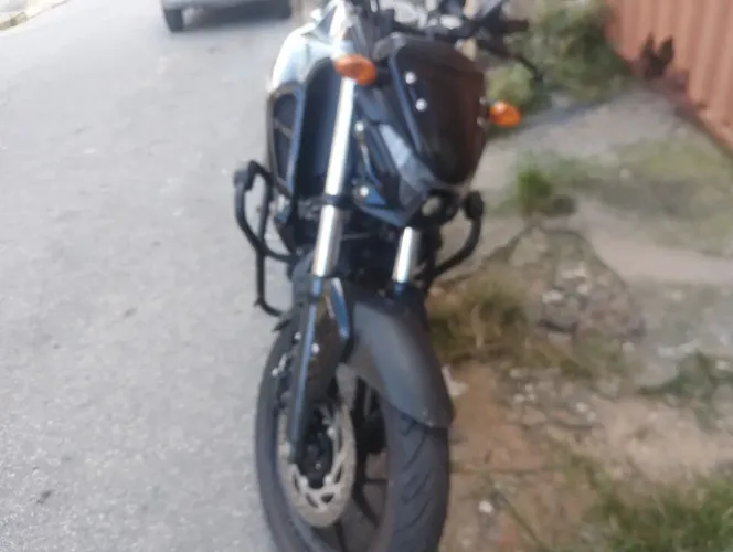 Fz 15