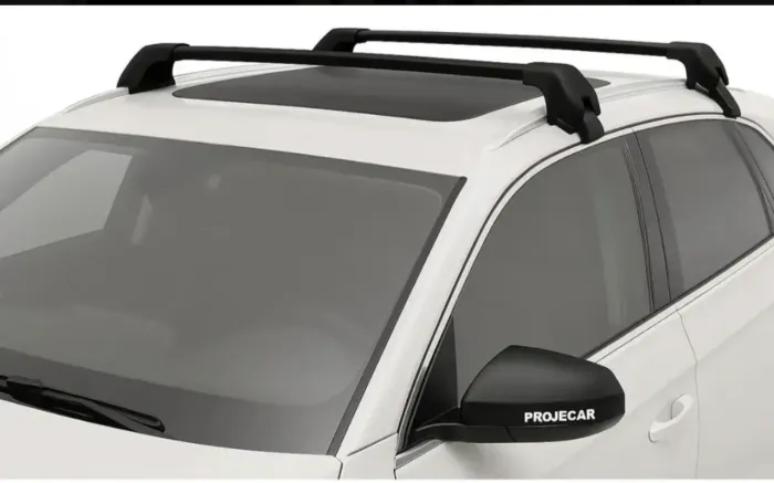 Rack De Teto Projecar Byd Dolphin 2023 A 2025 Preto