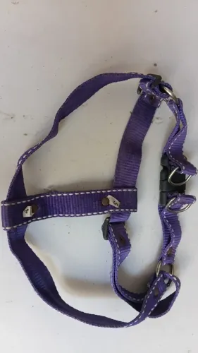 COLEIRA, GUIA PARA CACHORRO R$10,00 CADA