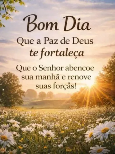 Sítios chácara