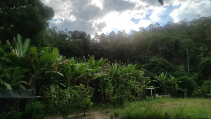 OPORTUNIDADE EM SEROPÉDICA - RJ | SÍTIO COM QUASE 7 HECTARES