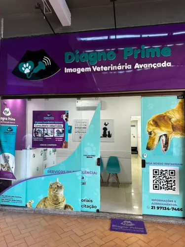 Passo Ponto Clínica Veterinária 