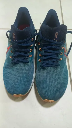 Tênis Pegasus 39