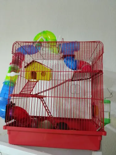 Gaiola de Ramster  