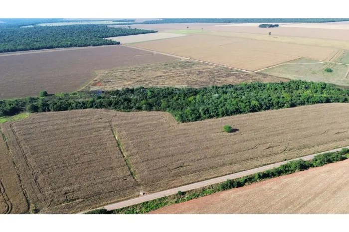Fazenda dos Sonhos à Venda em Cláudia MT 245 ha soja