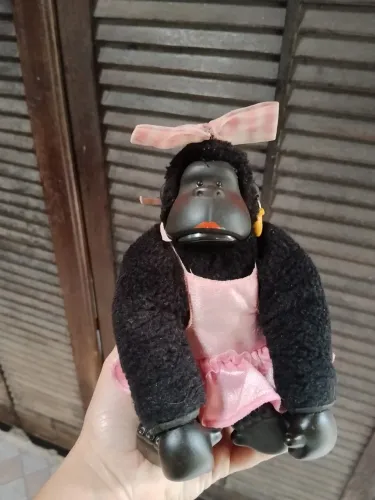 Macaca Murphy