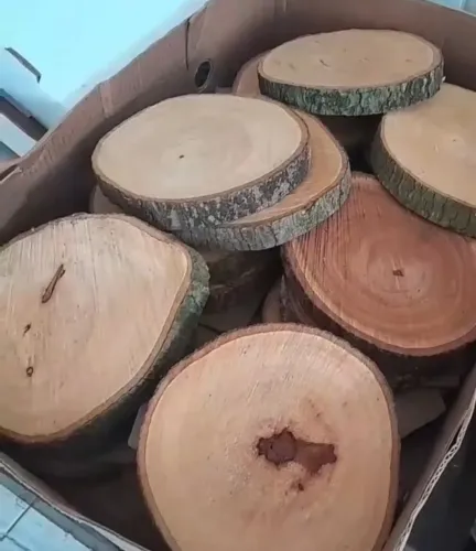 Bolacha de madeira rústica para artesanato e decoração