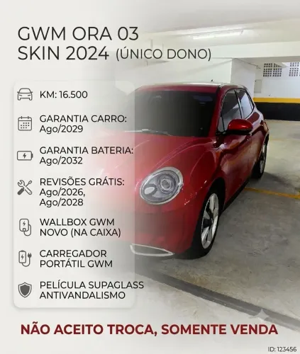 GWM Ora 03 Skin (elétrico) 2024