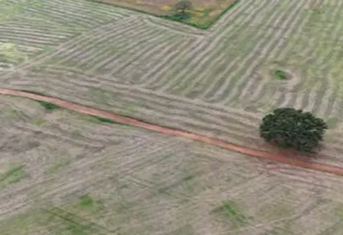 Imóvel rural no Zona Rural em Pontalina