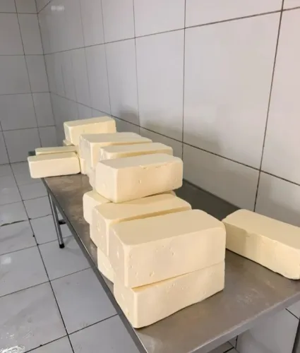 Queijo mussarela