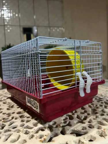 Gaiola passeio para Hamster