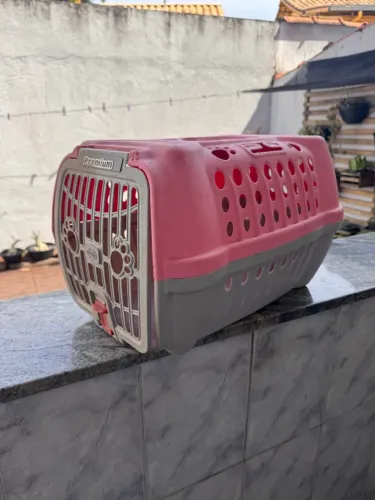 Transporte de gato cachorro