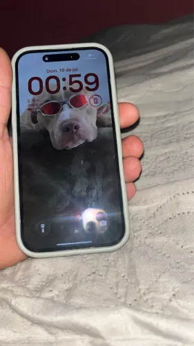 iPhone 16